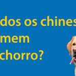 Todos os chineses comem cachorro? Thumbnail